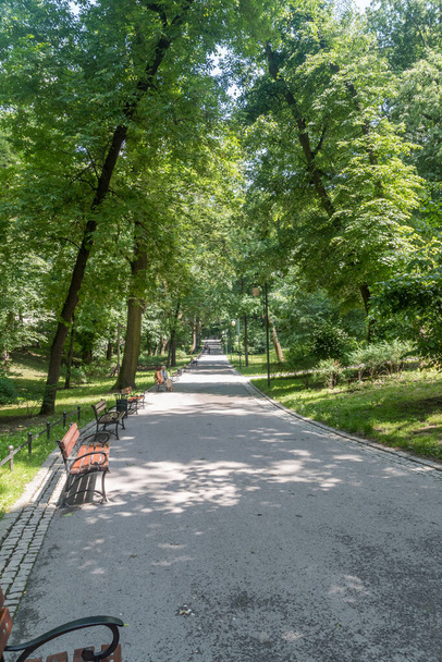 Path at Saxon Garden in Lublin. - Φωτογραφία, εικόνα