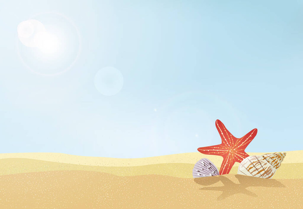 Seashore with beautiful seashells and sea star. Summer day beach background. - Vector illustration - Vektör, Görsel