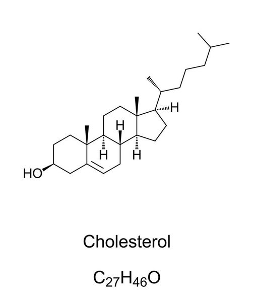 Colesterolo, struttura chimica e formula. Uno steroide modificato, un tipo di lipidi e il principale sterolo sintetizzato da esseri umani e animali. Essenziale per l'uomo e per tutti gli animali. Illustrazione. Vettore. - Vettoriali, immagini