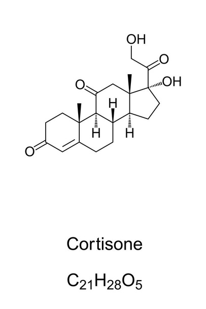 Cortisona, estructura química y fórmula. Hormona esteroide y corticosteroide sintético. Suprime el sistema inmunológico, reduciendo así la inflamación y el dolor concomitante. Ilustración sobre blanco. Vector
 - Vector, Imagen