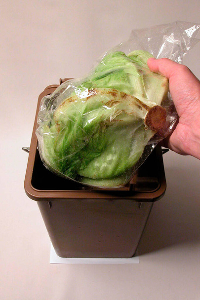 Rozmazlená zelenina, vyhazování salátu do hnědého biologicky rozložitelného odpadkového koše - Fotografie, Obrázek