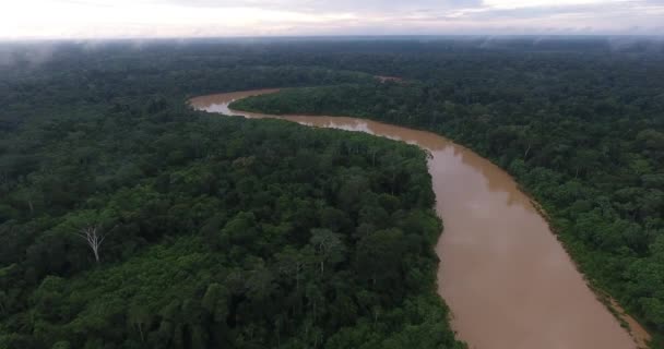 Grotere rivier tussen veel vegetatie in het Amazoneregenwoud met klein huis in Pando / Bolivia - neergeschoten in V-Log - Video
