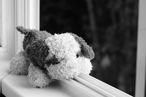 Puha gyerekjáték kutya az ablakon. Veszély, az ablakból való kiesés veszélye. A veszélyben lévő gyermek fogalma. - Fotó, kép