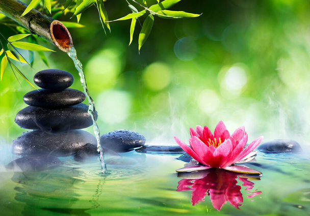 Fürdőkövek és vízililiom szökőkúttal a Zen kertben - Ázsiai kultúra - Fotó, kép