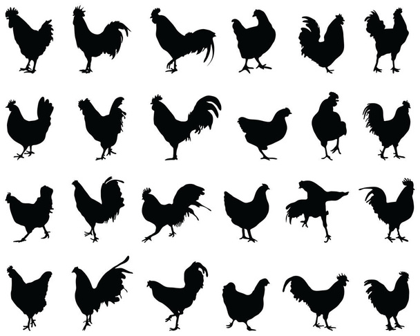 Silhuetas pretas de galos e galinhas em um fundo branco - Vetor, Imagem