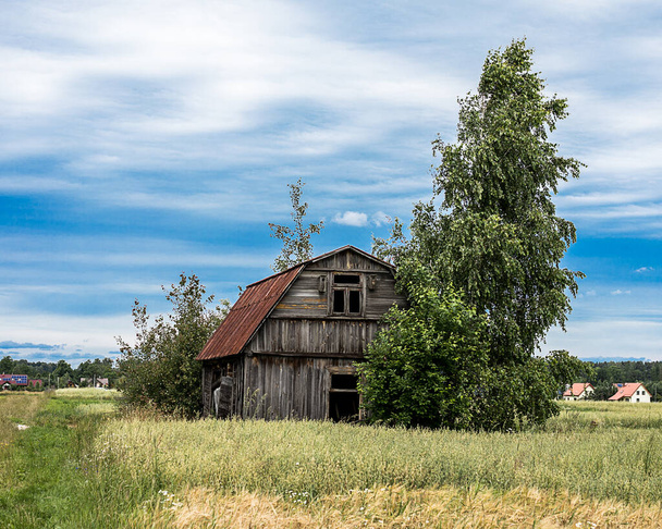 Ein einsames, verlassenes Haus ohne Fenster oder Türen auf einem Feld vor blauem Himmel. Ein sterbendes Dorf, eine Folge der Urbanisierung. Foto - Foto, Bild