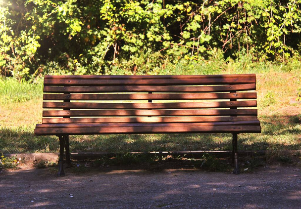 ξύλινο παγκάκι σε δημόσιο πάρκο της πόλης - Φωτογραφία, εικόνα