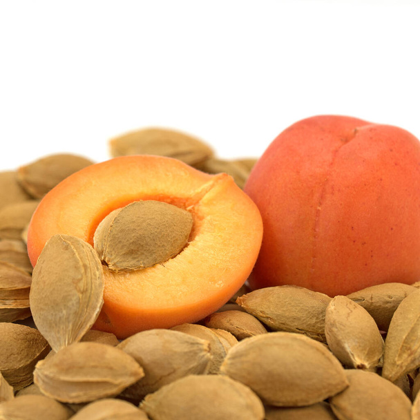 Apricot kernels in a close-up - Photo, Image