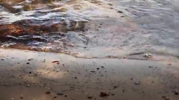 ondulations sur l'eau une vague faible sur la plage de sable - Séquence, vidéo