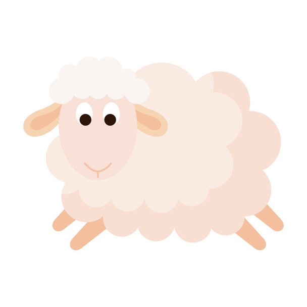 lindo animal de oveja sobre fondo blanco
 - Vector, Imagen