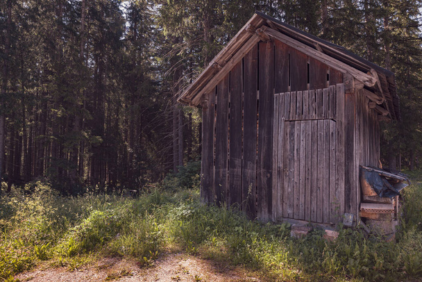 Cabaña de madera escondida en el bosque, imagen de paisaje diurno
 - Foto, imagen