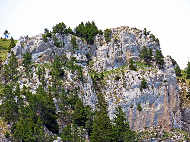 Rocks and stones in the Swiss mountain range of Pilatus and in the Emmental Alps, Alpnach - Canton of Obwalden, Switzerland (Kanton Obwalden, Schweiz) - Fotografie, Obrázek