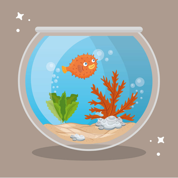 akvárium gömbhal vízzel, hínár, akvárium tengeri állat - Vektor, kép