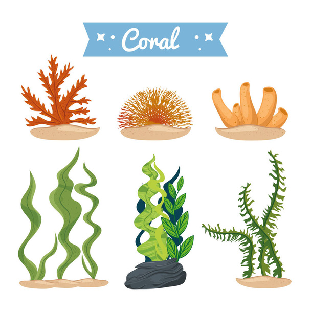 algas marinas y corales, iconos de la naturaleza submarina
 - Vector, Imagen