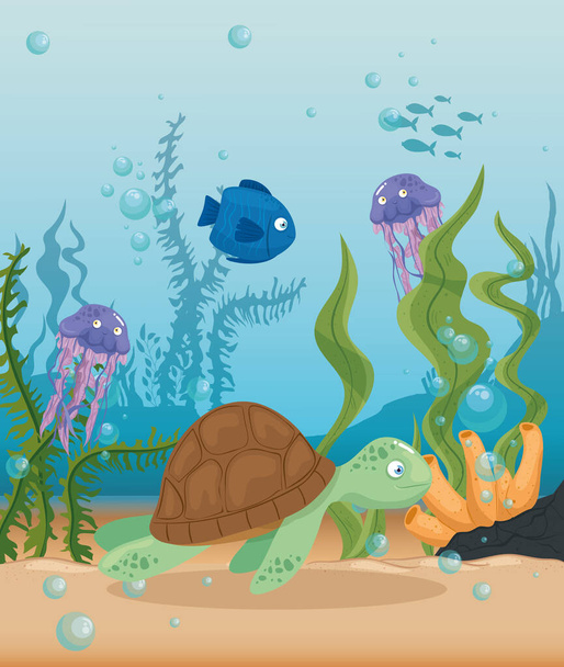 xxx and wild marine animals in ocean, sea world dwellers, cute underwater creatures, undersea fauna of tropic - Vector, afbeelding
