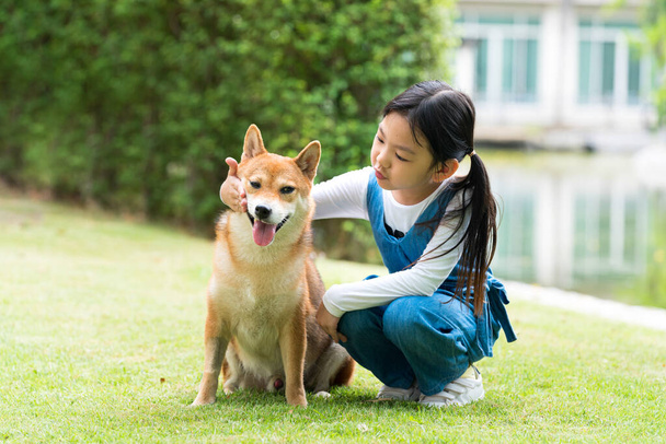 Chica asiática están entrenando para los perros Shiba Inu en el jardín. Una chica asiática juega con un perro Shiba Inu que tiene un picnic en el jardín
. - Foto, imagen