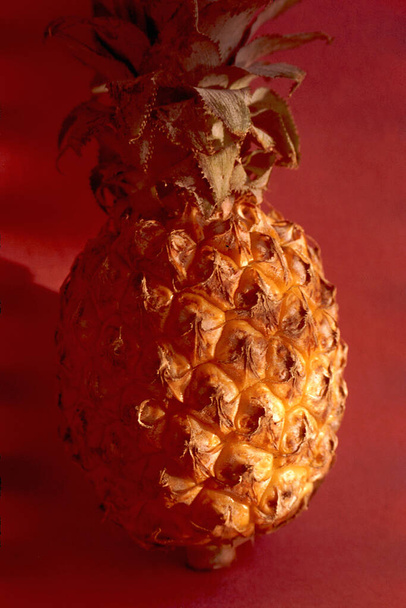 Piña - Ananus cosmosus fruta en la iluminación lateral sobre fondo marrón
 - Foto, Imagen