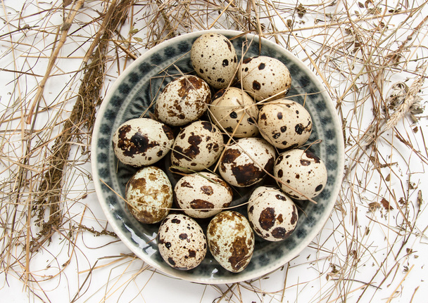 Quail eggs - Foto, immagini