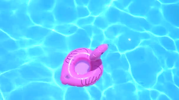 Flamingo gevormde opblaasbare ring drijvend op zwembad tijdens zonnige dag - Video