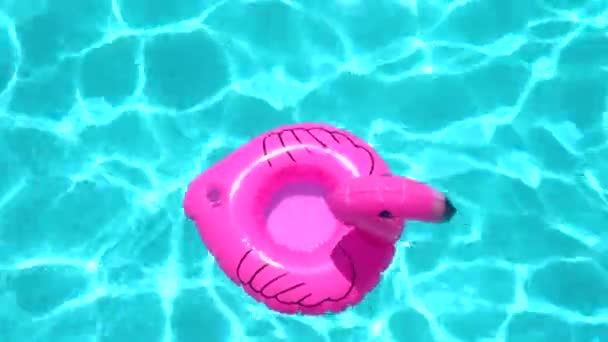 Anneau gonflable en forme de flamant flottant sur la piscine pendant la journée ensoleillée - Séquence, vidéo