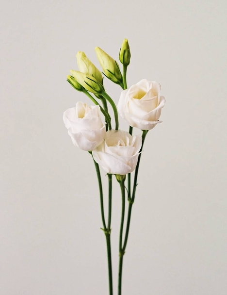 μπουκέτο με μικρά μπουμπούκια λευκά τριαντάφυλλα λουλούδια σε ένα ελαφρύ φόντο - Φωτογραφία, εικόνα