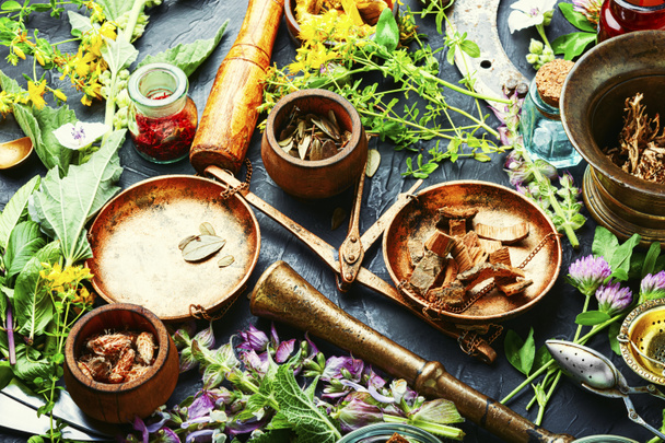 Fresh medicinal, healing herbs.Alternative medicine herbal.Natural herbal medicine - Фото, изображение