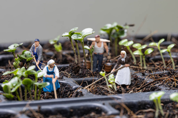 Miniatűr emberek kertészek dolgoznak ültetési fa reggel. - Fotó, kép