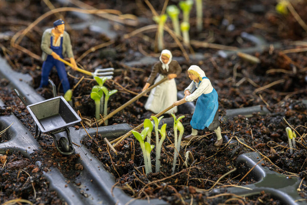 Miniaturgärtner beim morgendlichen Baumpflanzen. - Foto, Bild