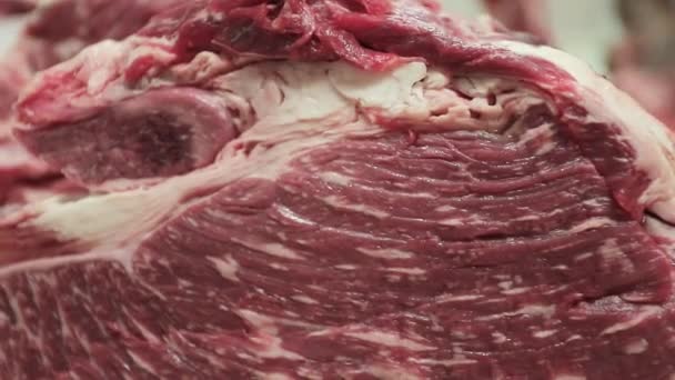 Vysoce kvalitní hovězí maso v čisté místnosti - Záběry, video
