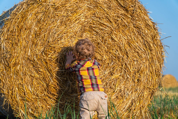 Cute little fair-haired boy playing on a wheat field with bales - Foto, Imagem
