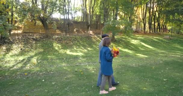 Getrouwd ouder stel loopt in het park, zachtjes elkaars handen vasthoudend. Vrouw houdt boeket herfstbladeren vast. Man en vrouw in goed humeur en glimlachende, ronde foto van achteren bij zonnig weer - Video