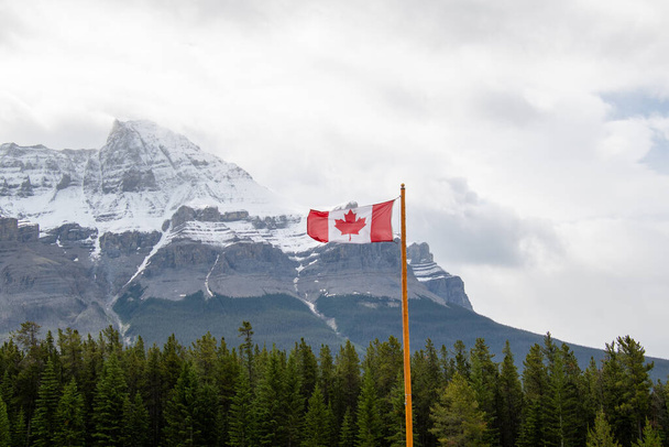 Obraz kanadyjskiej flagi machającej przeciw górze Murchison. Banff Park Narodowy AB Kanada    - Zdjęcie, obraz