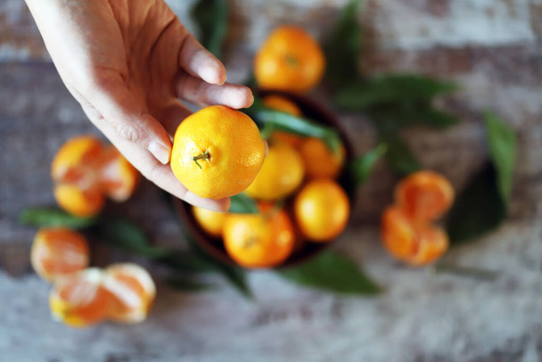 Hand holds mandarin. Ripe tangerines with leaves. Selective focus. - Foto, afbeelding