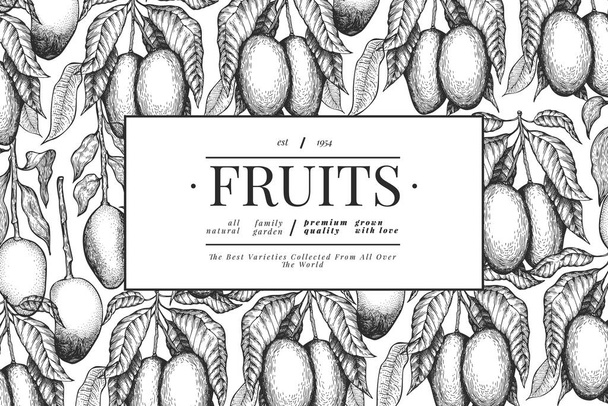 Mango design template. Hand drawn vector tropic fruit illustration. Engraved style fruit. Retro exotic food banner. - Vektor, Bild