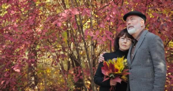 赤い葉を持つ美しい茂みの背景に公園でかわいい引退したカップルの抱きしめ。髭を生やした夫は、紅葉の花束を持って悲しい妻を抱擁します。夫婦の森の中のロマンチックな散歩 - 映像、動画