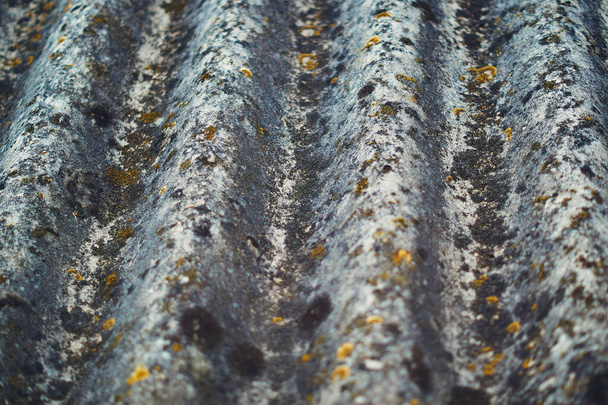 La textura del techo viejo. Gris pizarra cubierto de musgo
. - Foto, imagen