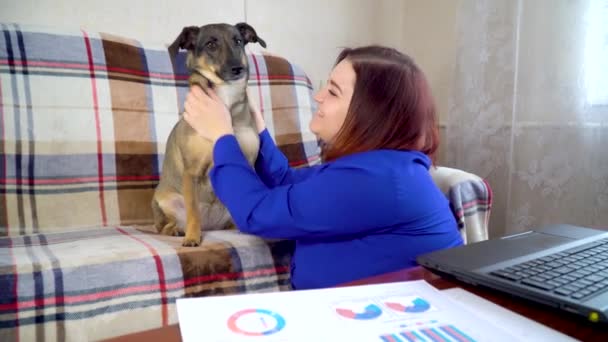 Girl scratches dog at home during break at work for laptop - Filmagem, Vídeo