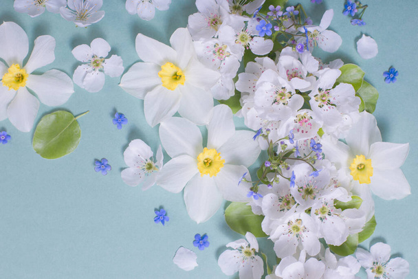 white narcissus and cherry flowers on green paper background - Foto, afbeelding