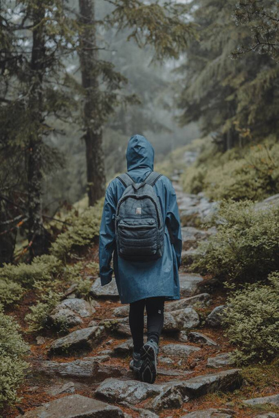 A shallow focus shot of a traveler with blue raincoat walking in a wet forest - Fotoğraf, Görsel