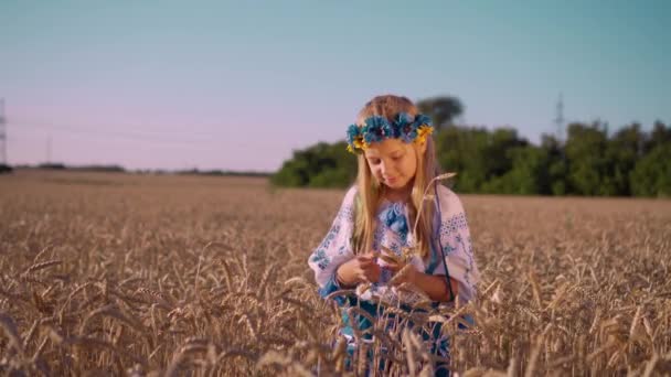 Захід сонця на пшеничному полі. Весела дівчина з вінком на голові стоїть серед золотих вух пшениці і посмішок. Люди, які живуть у селі
. - Кадри, відео