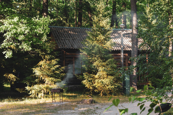 Old wooden house in a pine forest. - Foto, immagini