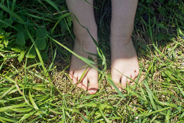 Children's feet close-up. Children's feet on green grass - Foto, afbeelding