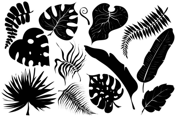 Sommer setzen schwarze Silhouetten tropischer Blätter Palmen und Bäume Elemente isoliert auf weißem Hintergrund. Monochromes exotisches Dschungelblatt. Vektor Illustration Design für Karten, Web, Naturprodukt et. - Vektor, Bild