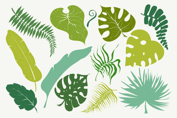 Summer set of green tropical leaves palm, trees elements. Exotic jungle leaf. Vector stock illustration. Design for cards, web, natural product ets. - Διάνυσμα, εικόνα
