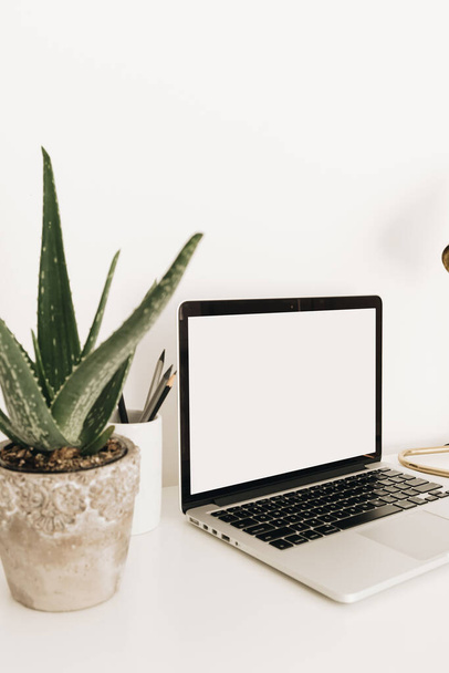 Laptop met blanco kopieerruimte scherm op witte tafel met aloë plant. Minimale kantoorruimte voor thuis met modelsjabloon. Werkzaamheden thuis. - Foto, afbeelding