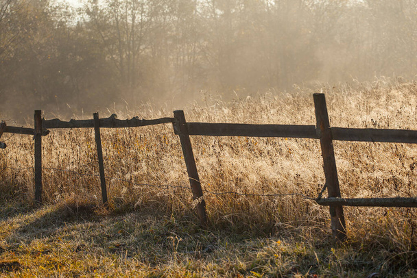 egy szögesdrót kerítés összefonódott őszi pókhálóval, a fű hátterével, amelyet a reggeli homokfagy borít. - Fotó, kép