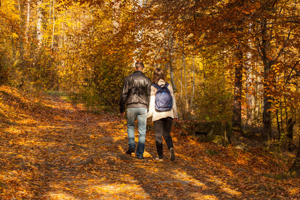 Guy and girl walking in the autumn park holding hands - Foto, imagen