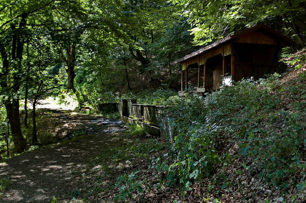 緑の素晴らしい夏の景色,落葉樹と世紀の森の噴水と避難所,中央バルカン,町テティエブンの近く,ブルガリア  - 写真・画像