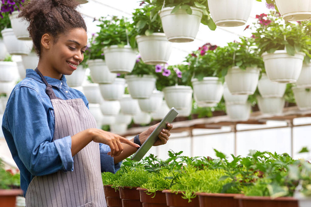 Chytrá kontrola na květinové farmě. Africká americká dívka kontroluje zařízení, v blízkosti je mnoho rostlin v květináčích - Fotografie, Obrázek