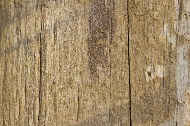 Fondo de textura de madera marrón envejecida
 - Foto, imagen